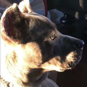 Meet your Posher, Christina